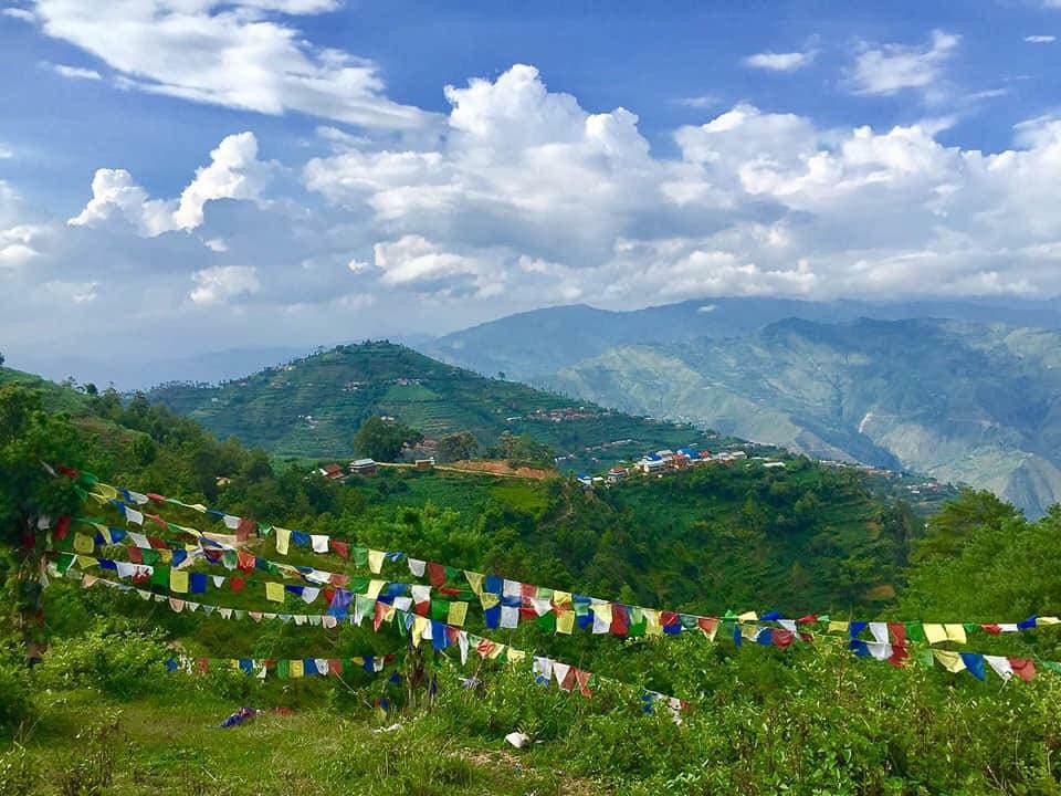 Selectie Timal 25 Betty Moureaux