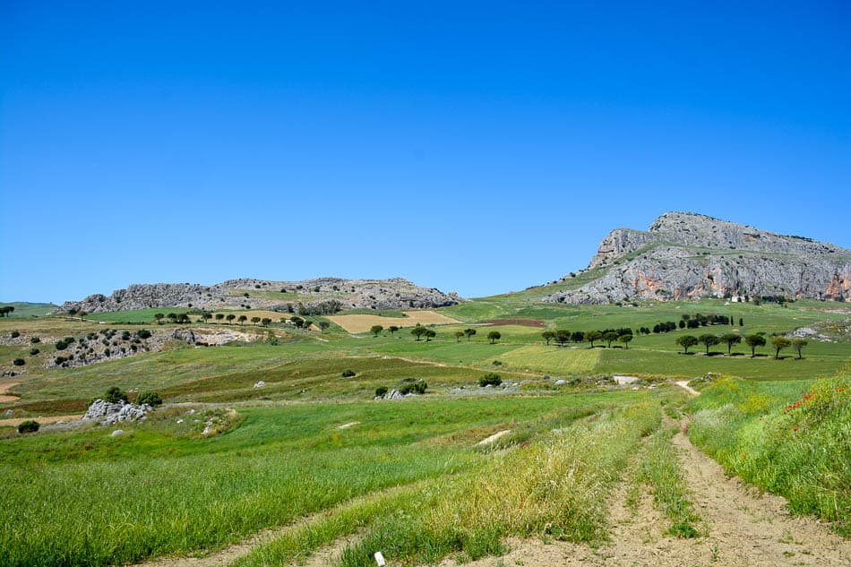 DSC 6127 Selectie Melissa Bernard Quintens W950