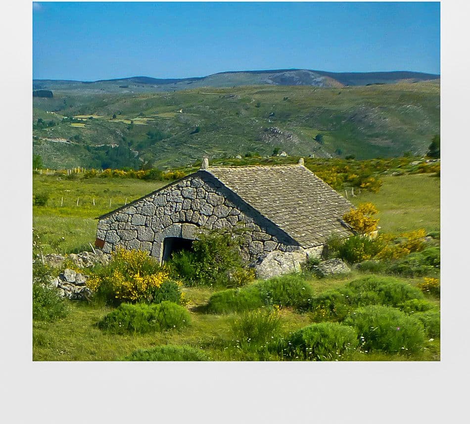 G008 STV 14 JP 00749_export_w950