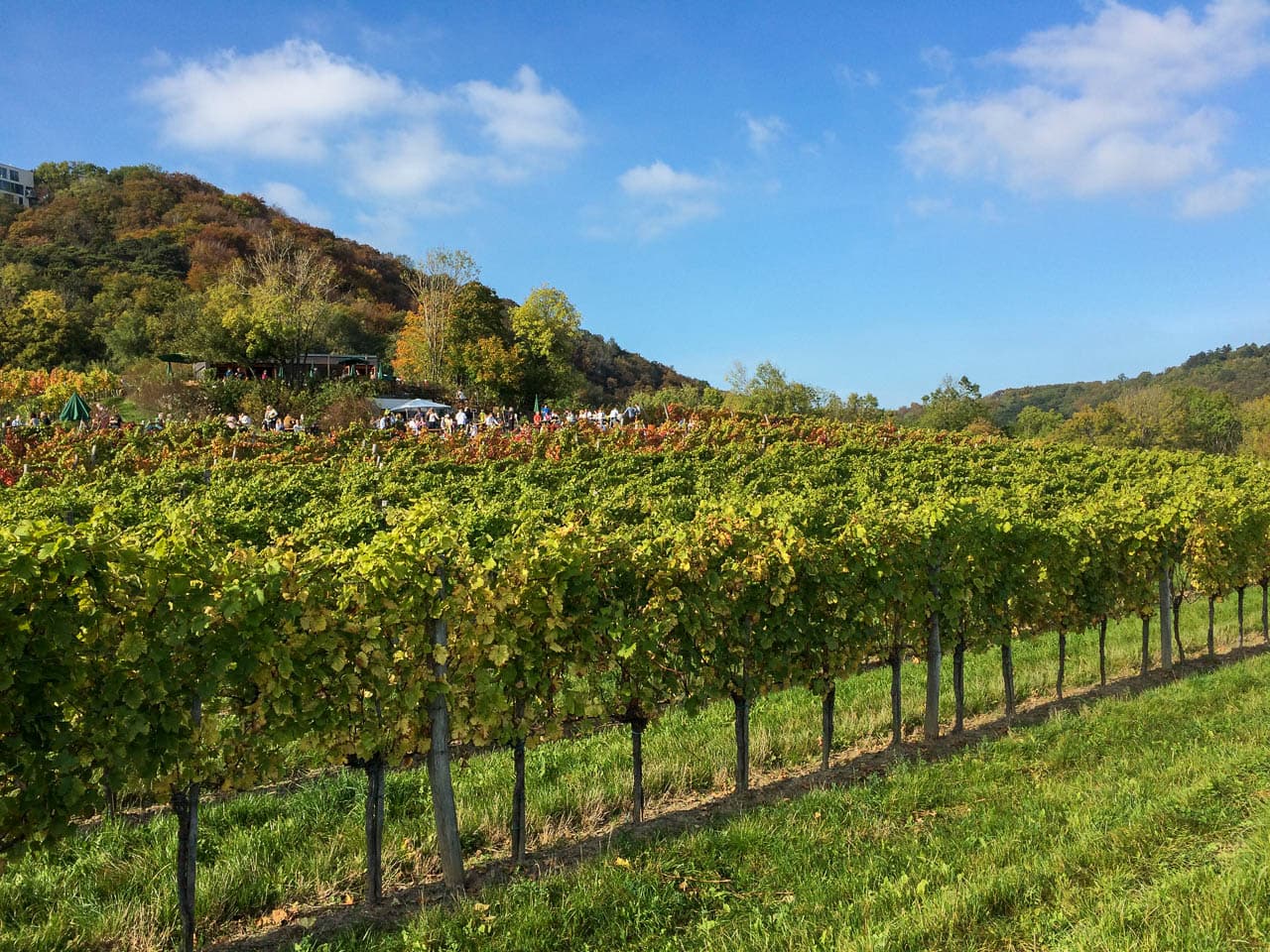 Img 0444 At1wnd W1280