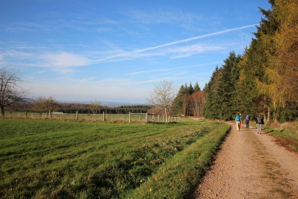 20151112-IMG_9785_export