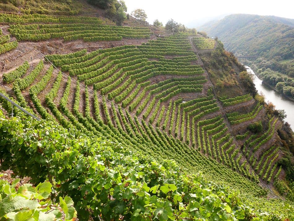 Moezel-12-Ann-Tilley-DSCI6683_export_w950