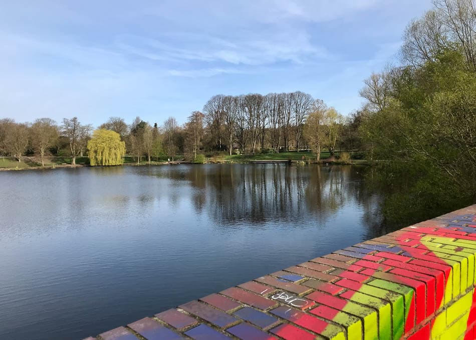 IMG 3463 Selectie Dirk Smets W950