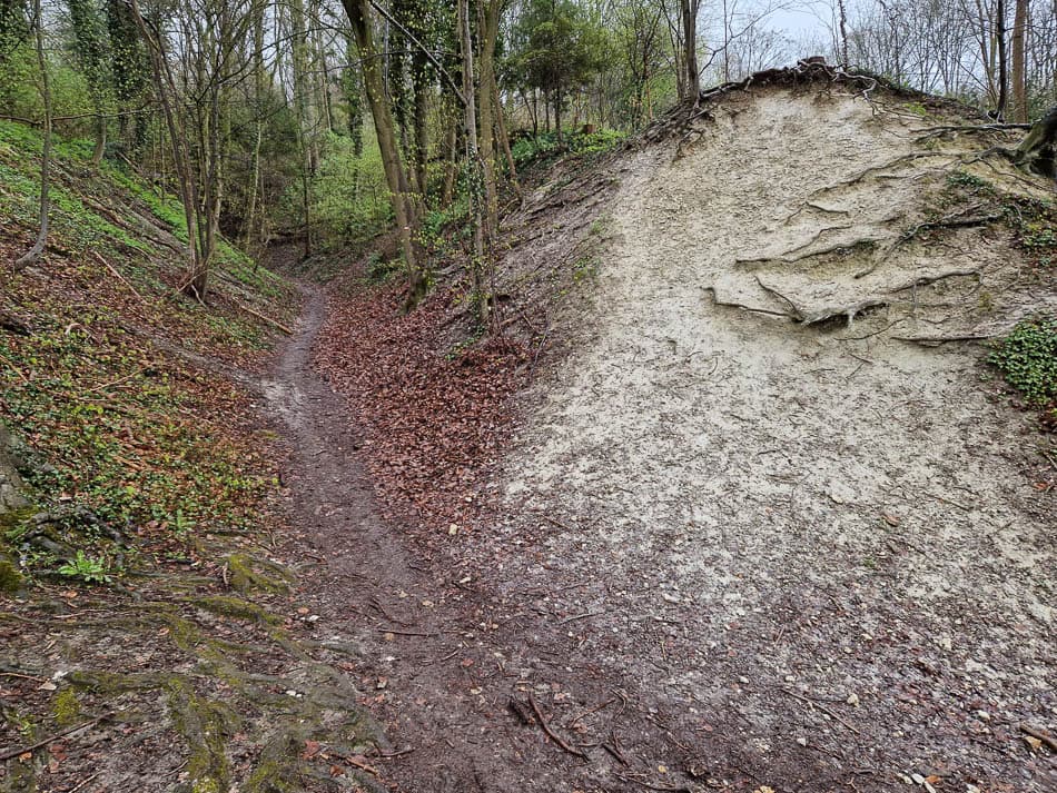 20230420_131015-NL5DMA Schrumpf Mirjam-Mirjam Schrumpf-w950