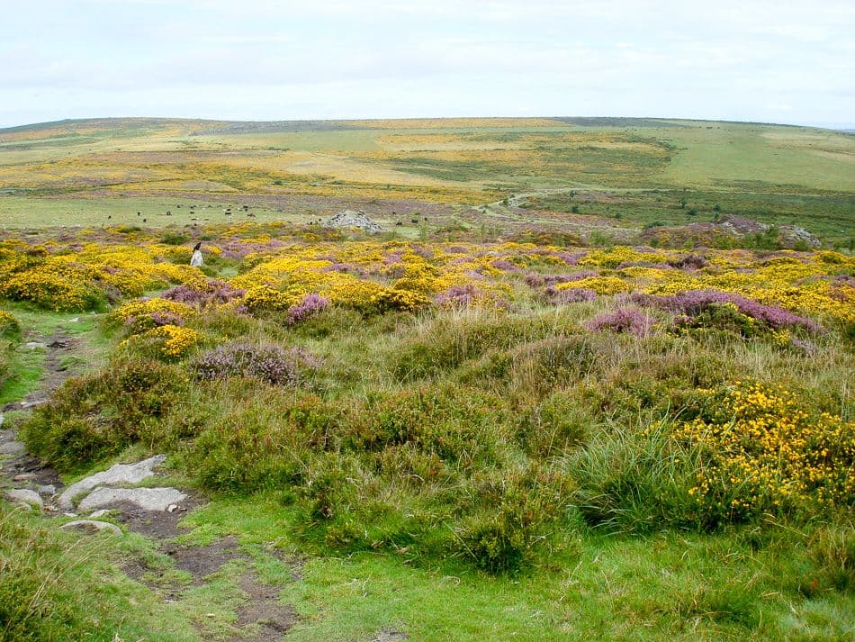 DSC05845_export_w950