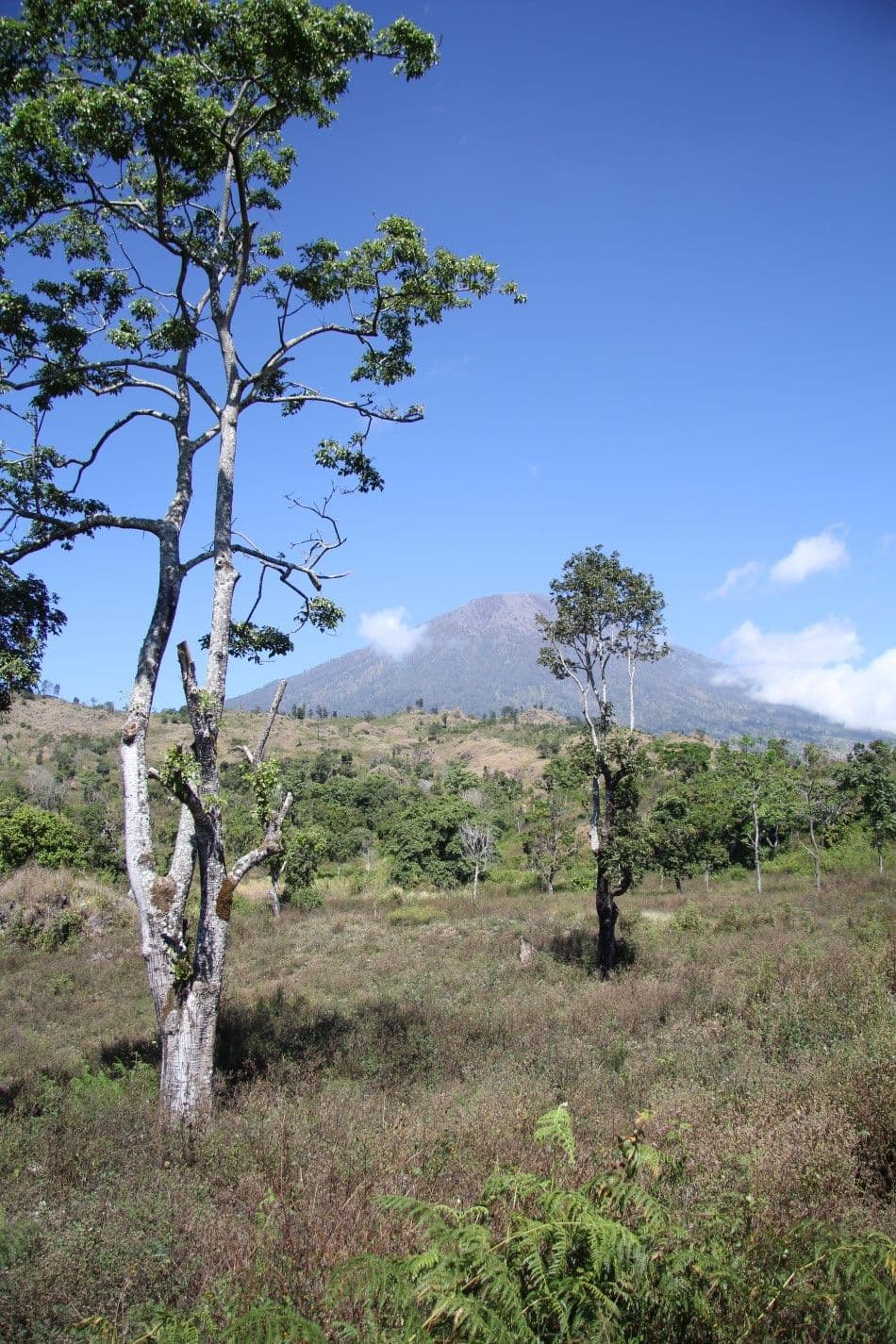 Rinjani-vulkaan-Custom