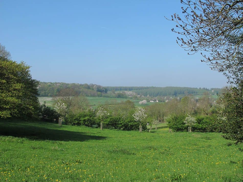 Voeren 13 Robert Clabots IMG_0872_Robert Clabots_w950