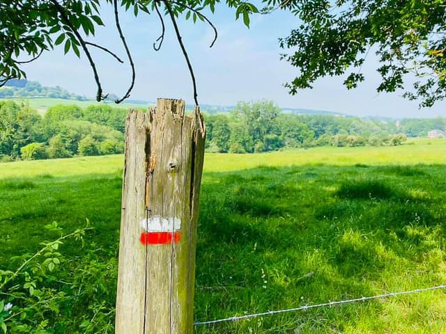 200248762_10224049642927458_574117872039660108_n_Els Roes_w950