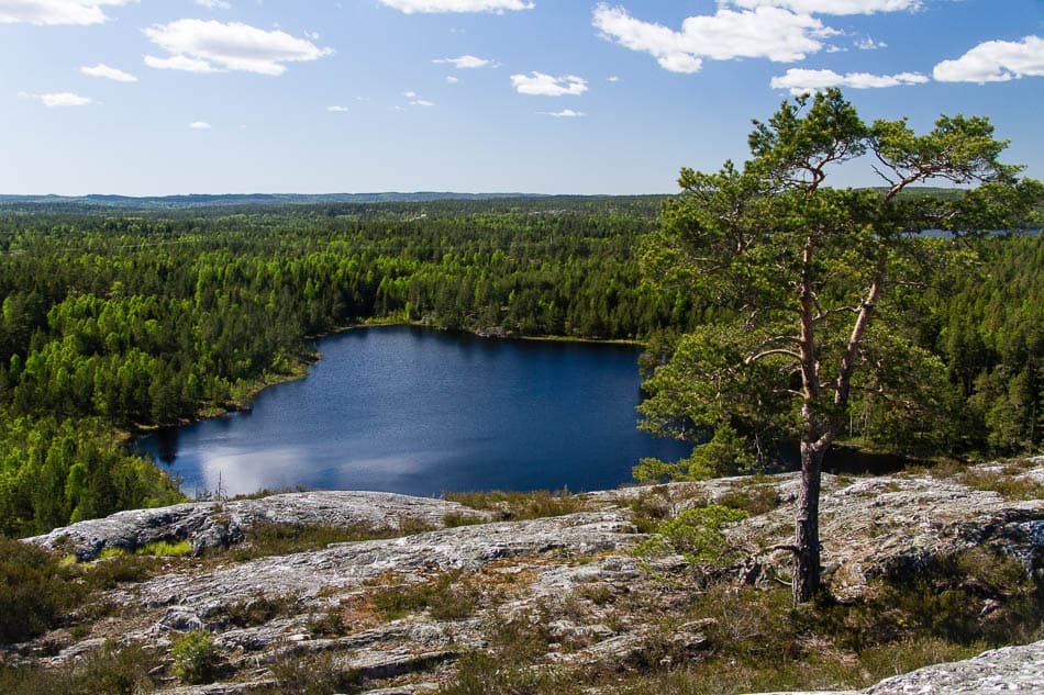 170526_Zweden_044_Peter-Cornelissen_w950