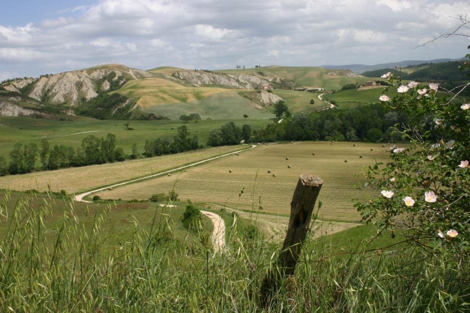 GR14-55-Zuid-Toscane-07-Tonnie-havenith-5_export