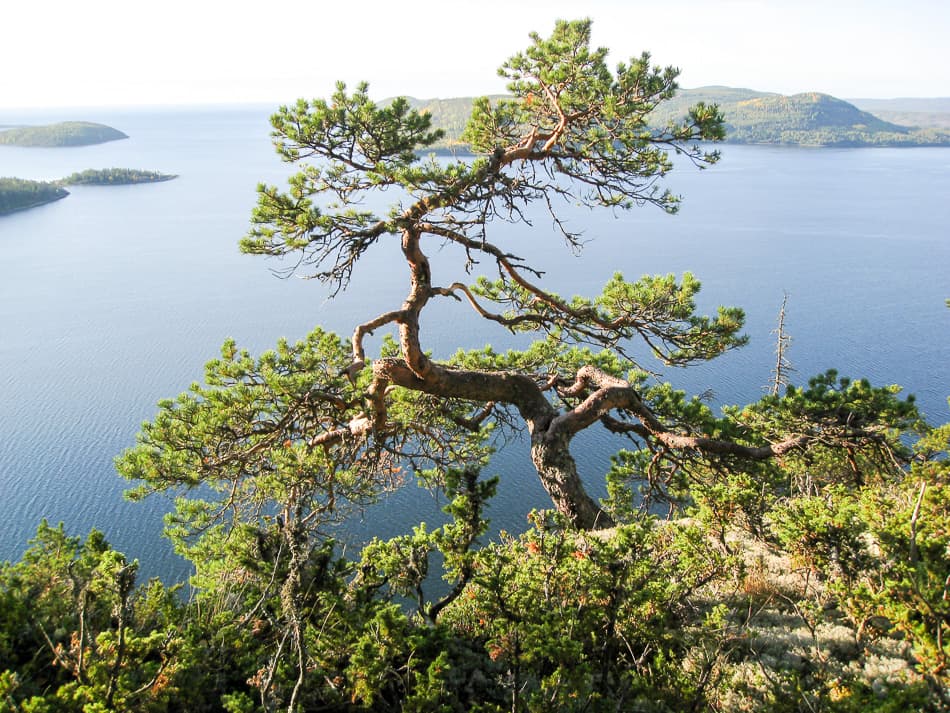 IMG 2417 Foto Agne Säterberg Export W950