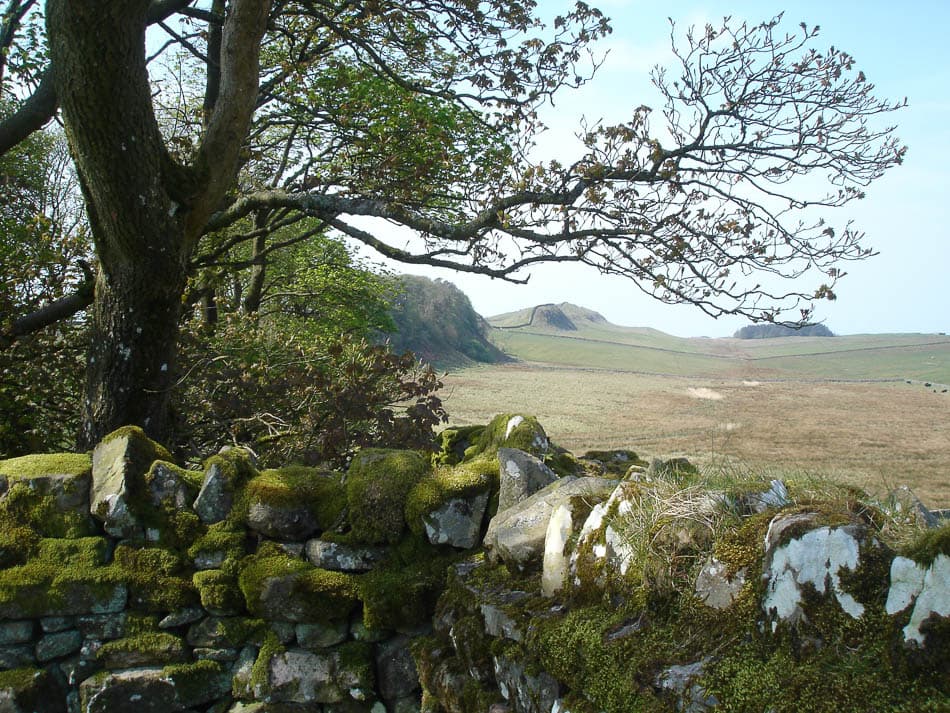 DSC00310 Selectie Melissa Jo En Luc Vandeberg W950