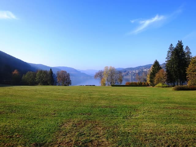 Titisee Suesun