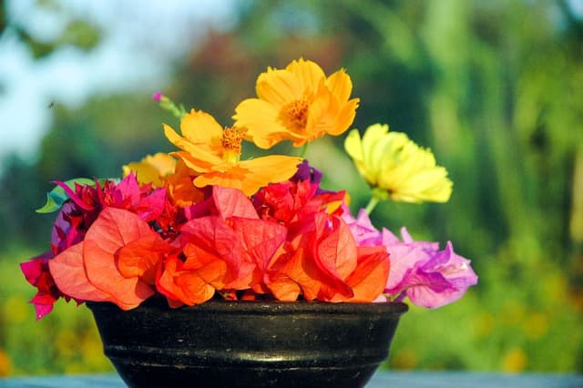 Bali-05-Robert-Stockmans-2_export_w950