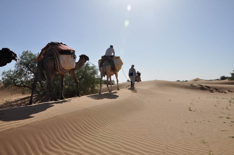 Marokkaanse Sahara 385 Export Selectie Voor Rouwreis Joost Martens W950