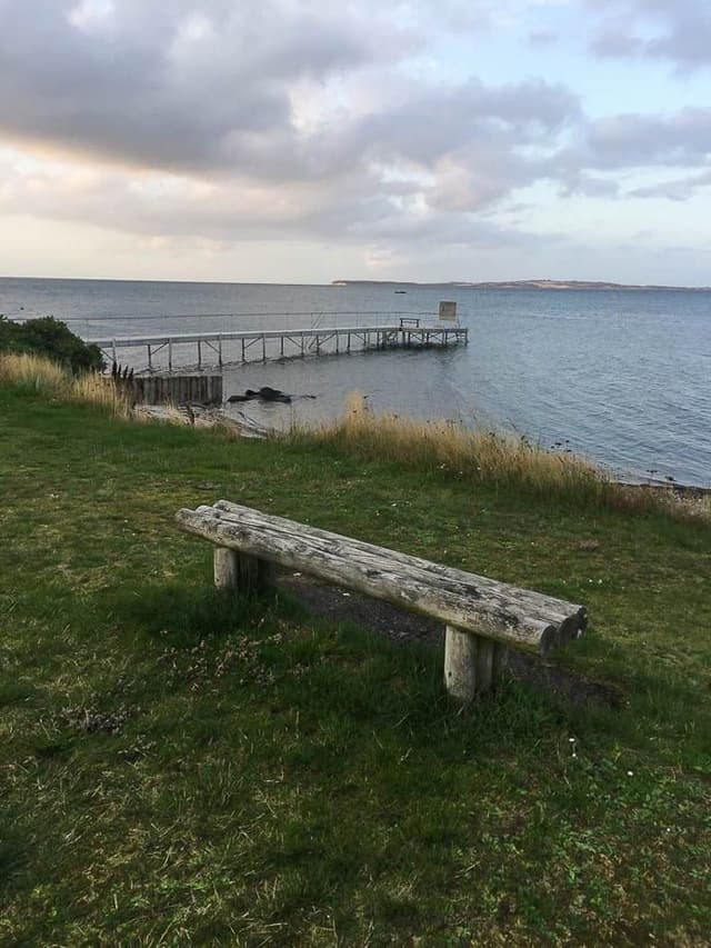 whatsapp-image-2021-10-09-6_katrien-boon_w950