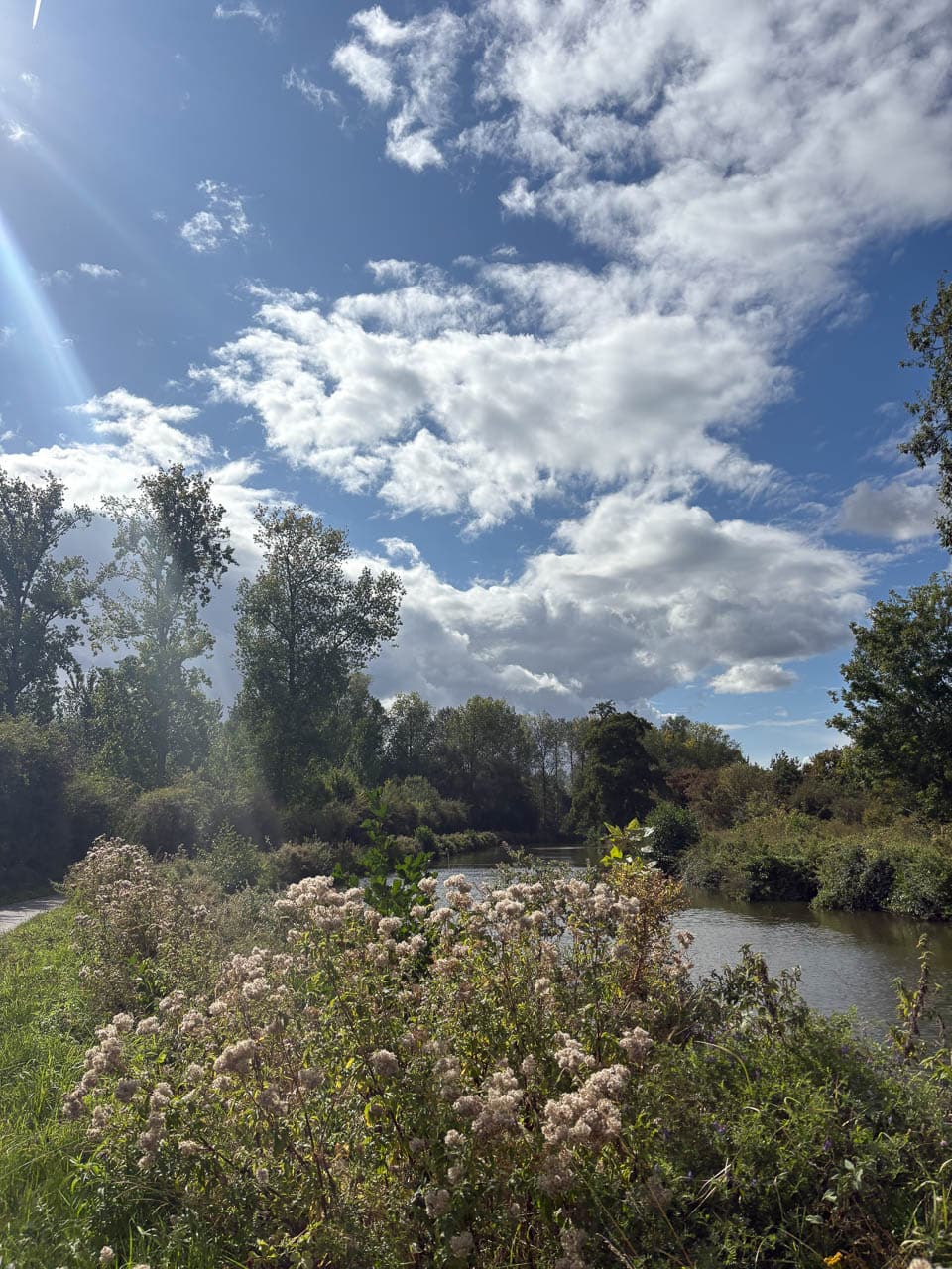 BE5PJA Image00007 Margot Pappijn