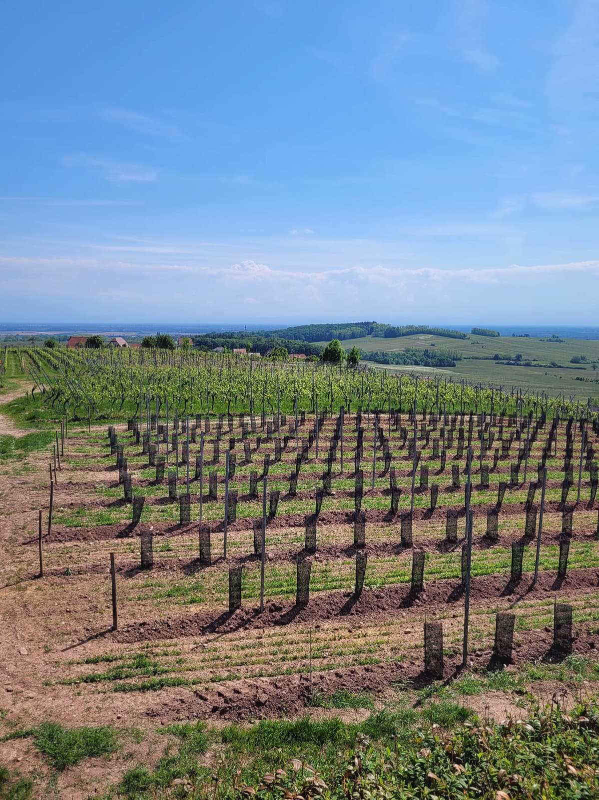 20250508 121500 FR6EZA Els Vandecasteele W1280