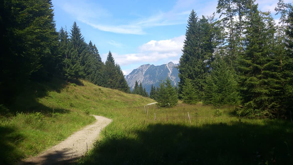 DSC 0823 Export W950