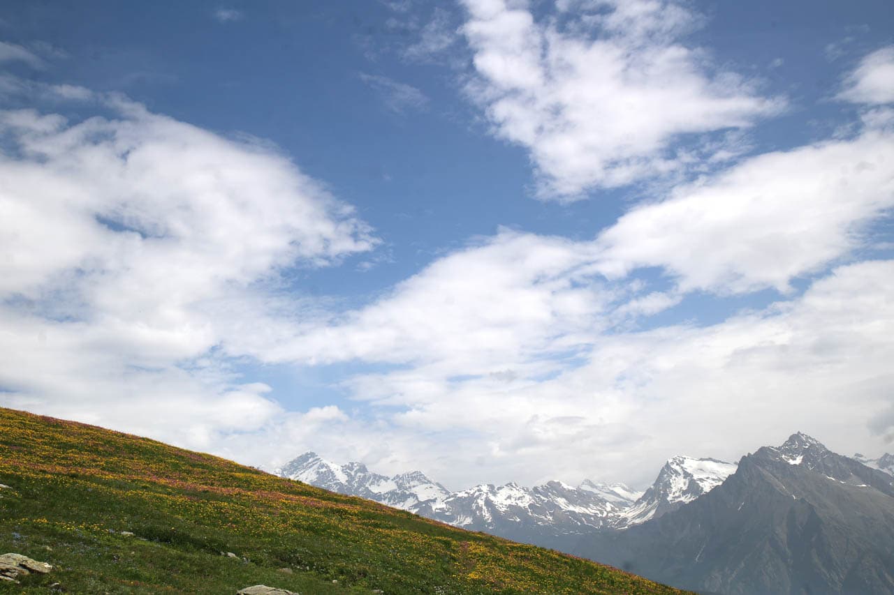 Jan Van Brabant IMG 0873 Jan Van Brabant