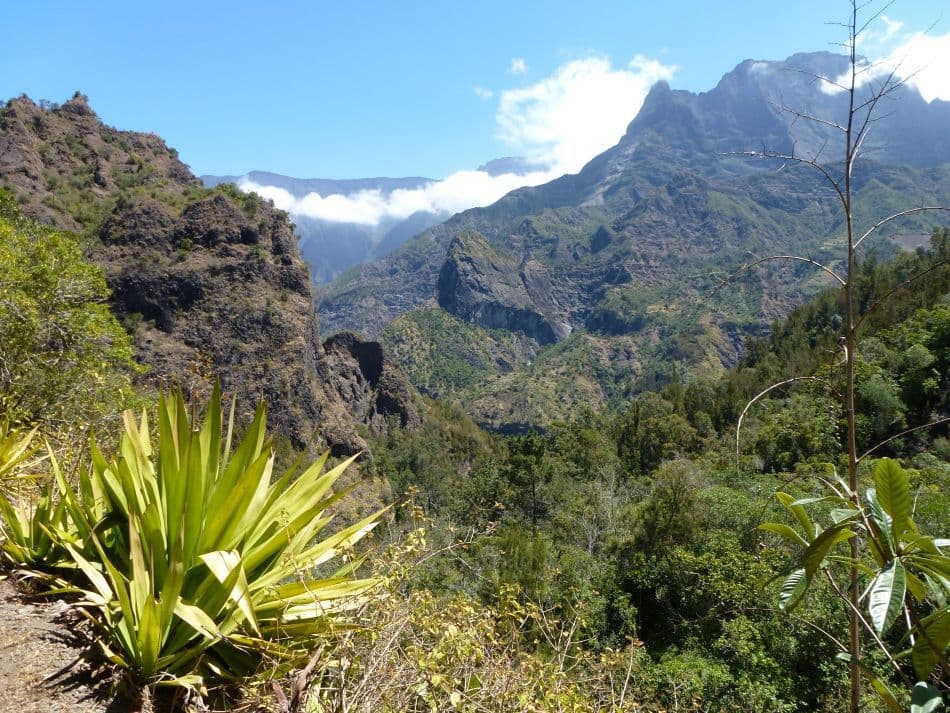 GR14-129-Reunion-12-Lut-Vanthienen-P1010556_export