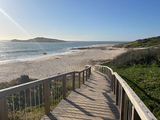 Image00013 PT6ALA Agent W950