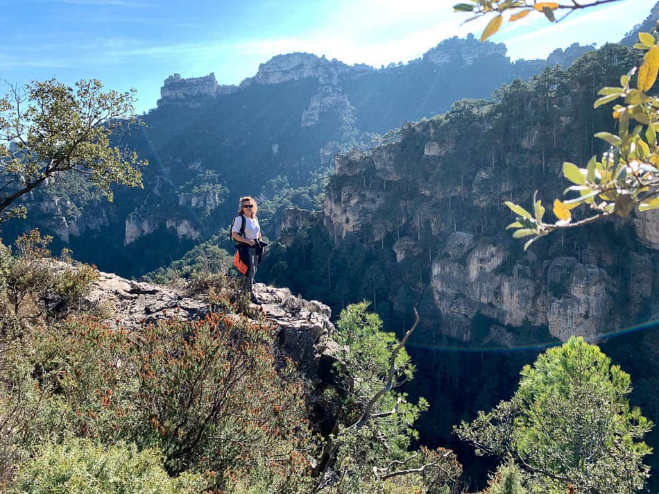 birdwatching_Ignacio Teres_w950 (3)