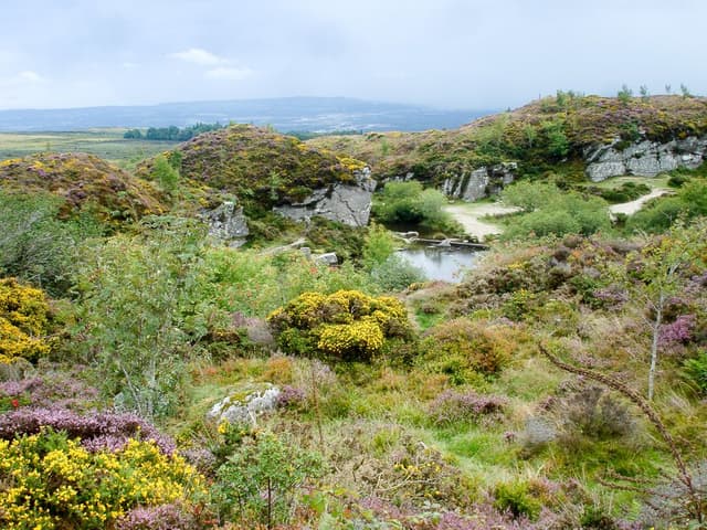 DSC05852_export_w950