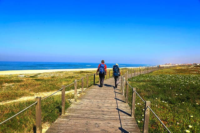 PGW Coastal Camino #15 PT5PSB Jose Augusto Azevedo W950