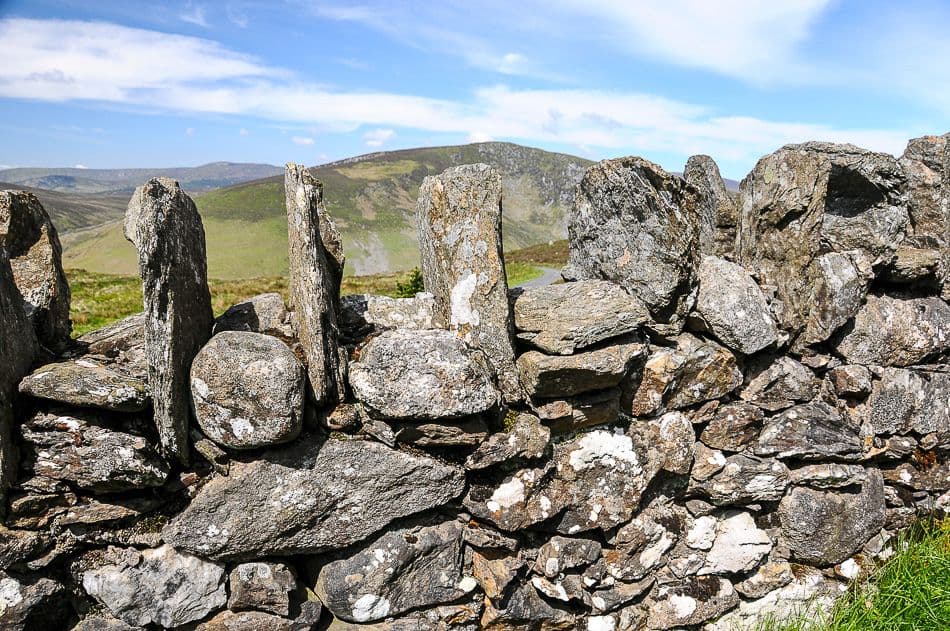 DSC_9587_export_w950 (2)