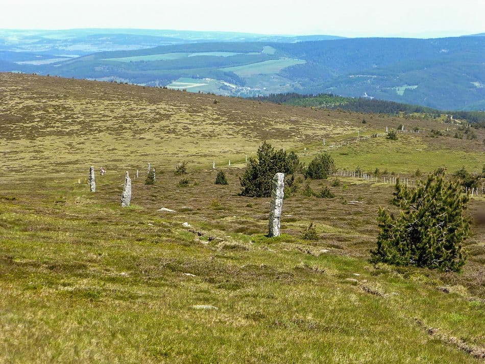 F005 STV 14 JP 00642_export_w950