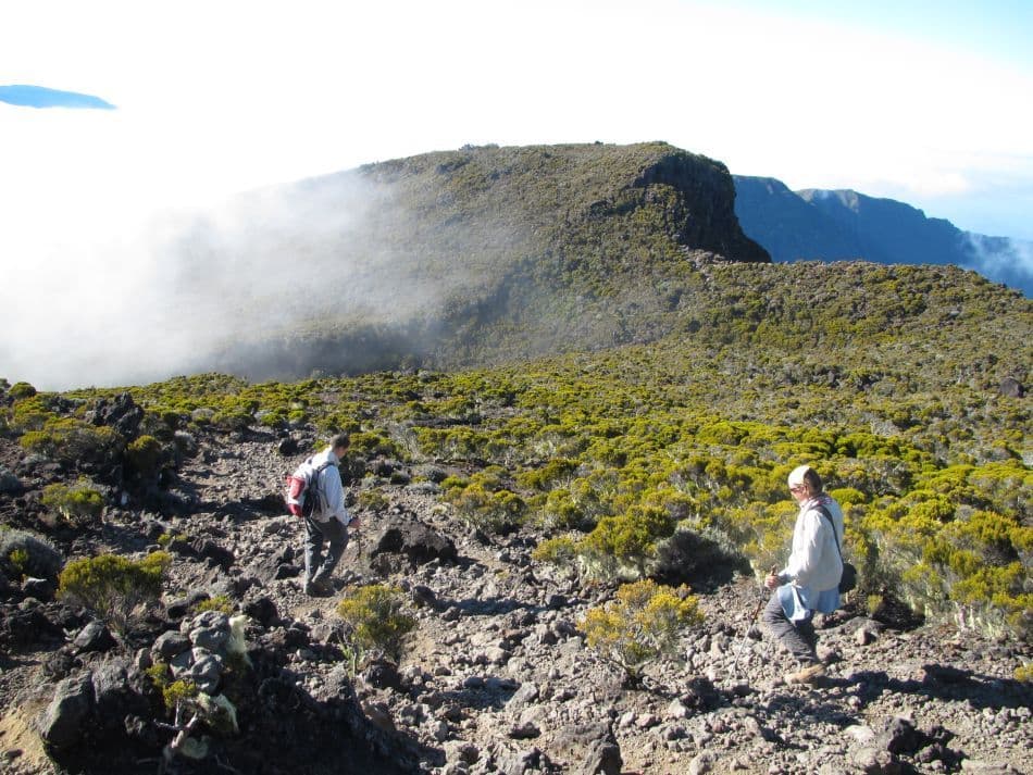 Reunion-12-Stefan-Bomans-IMG_6904_export