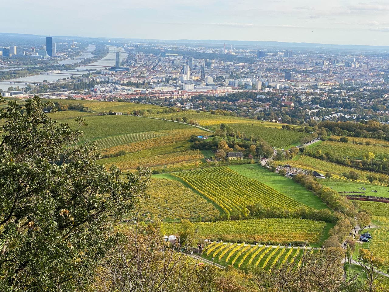 Img 3264 At1wnd Bart De Winter W1280