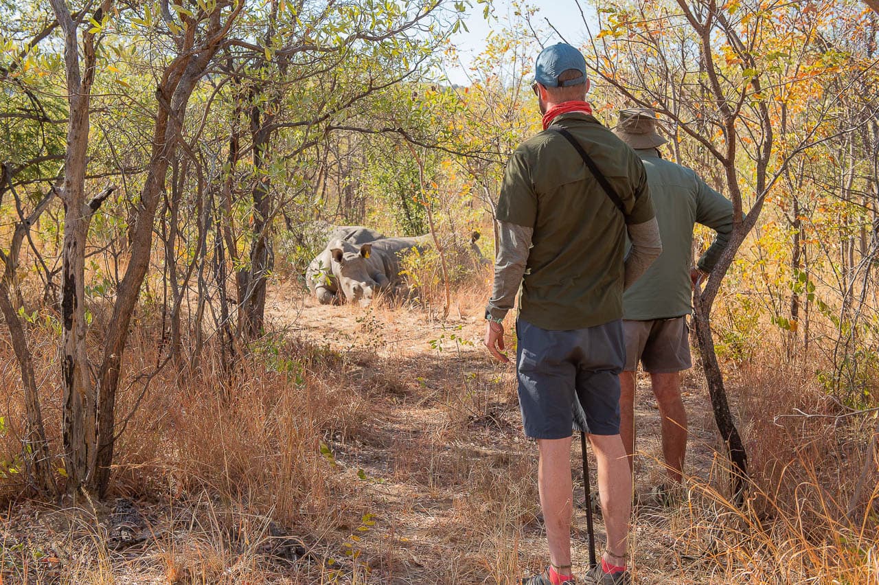 Sunways (Agent) Sunway Zimbabwe Matobos Bruce Taylor 0848