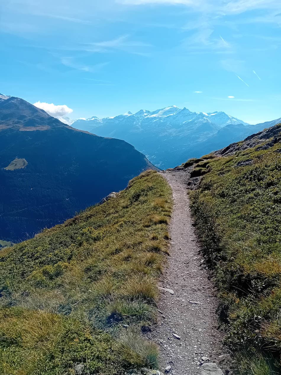 20230831_102131-FR5VNA Maarten Caversoons-Maarten Caversoons-w950