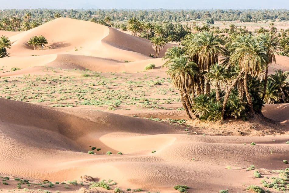 Fotos-Marokko-87-IMG_1632_export_w950