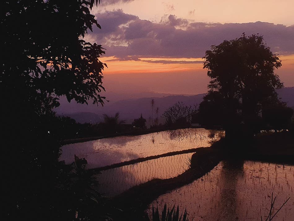 20240719 183344 Marieke Huys Marieke Huys W950