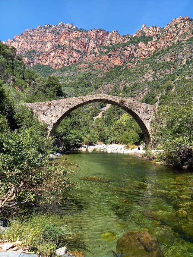 FR5COD 20230912 132046 Marie Paule Cluyts