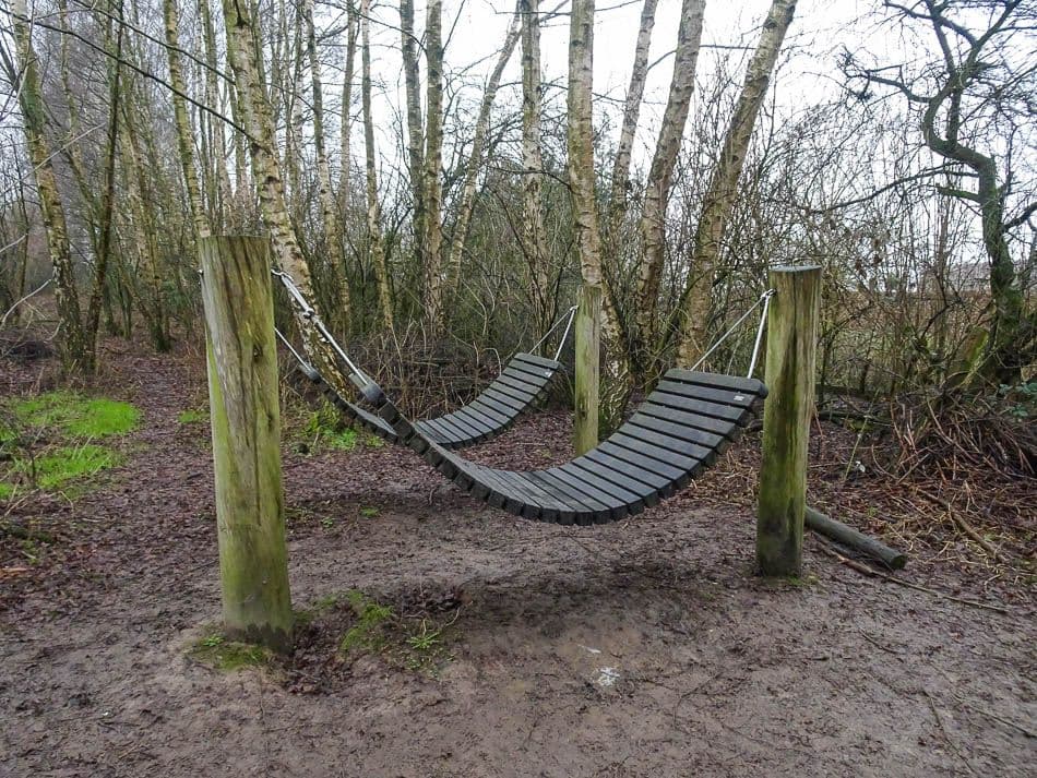 DSC00960_Johan Van Malderen_w950