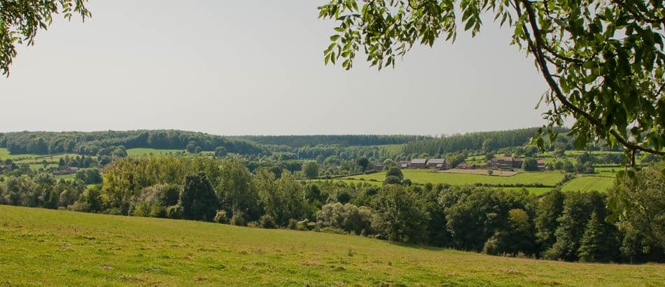 2012 08 19 Voeren 21B Chris Derynck_Chris Derynck_w950