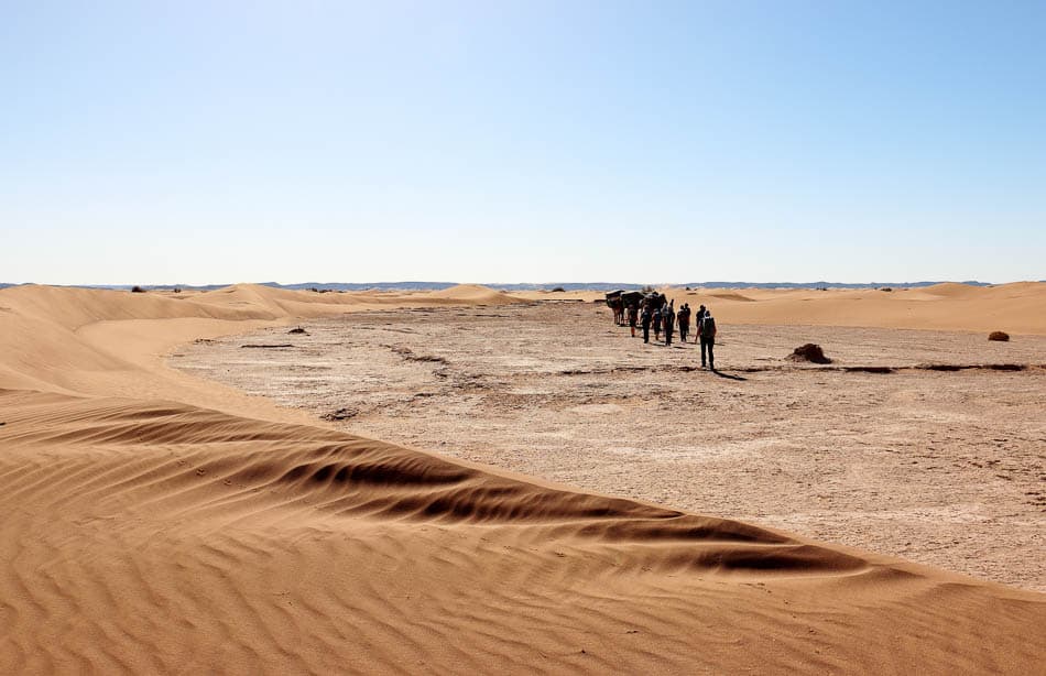 Sahara (129) Arne Vanwijnsberghe Arne Vanwijnsberghe W950