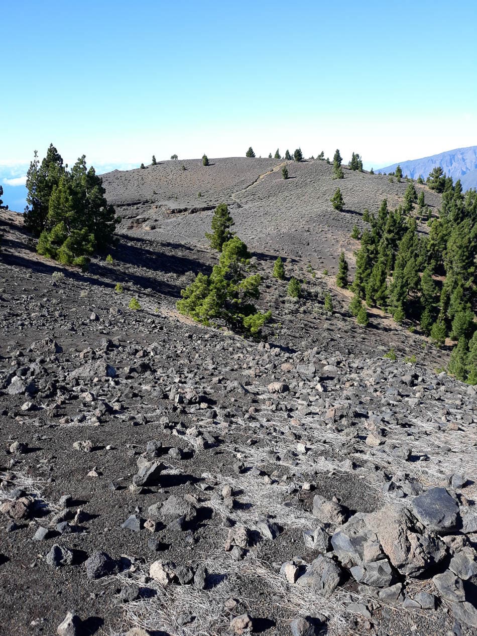 20191219 140521 Te Verwerken W950