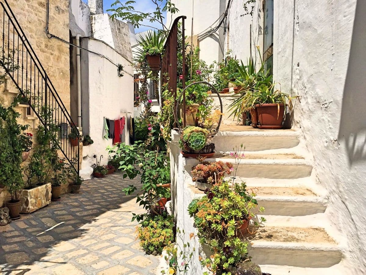 ostuni-puglia_export