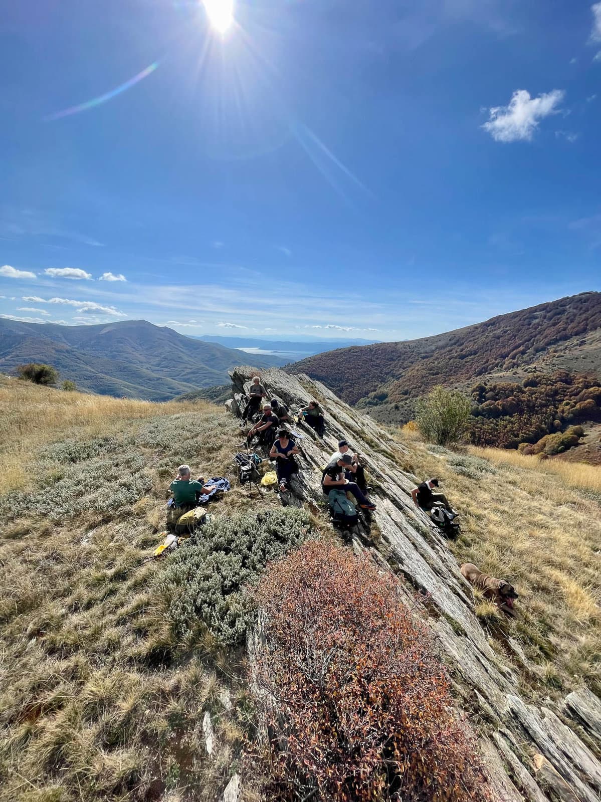 IMG 1430 Selectie Ruud Peten W1280