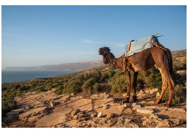 Dsc4092kopie Selectie Niek Meijer W950