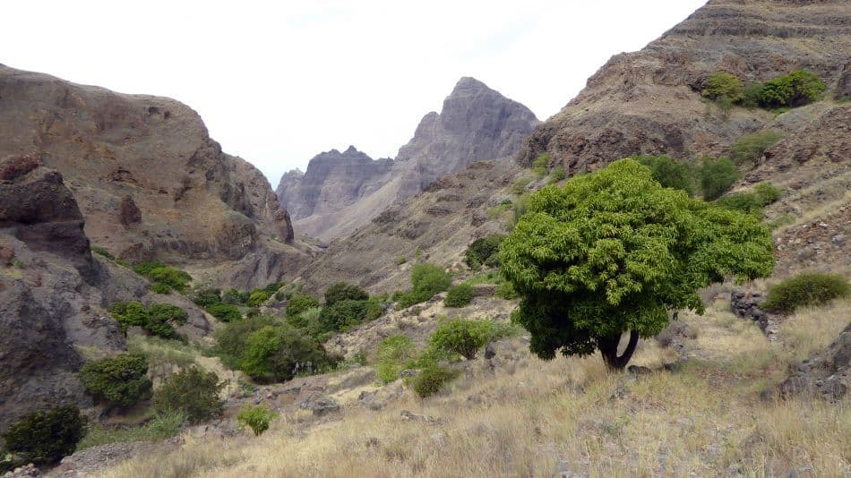 17-AR-CV-PRO-KR-490_export