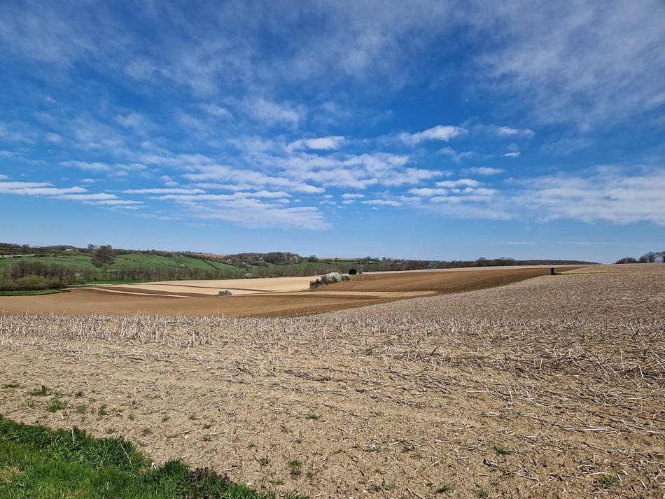 20230419_142948-NL5DMA Schrumpf Mirjam-Mirjam Schrumpf-w950