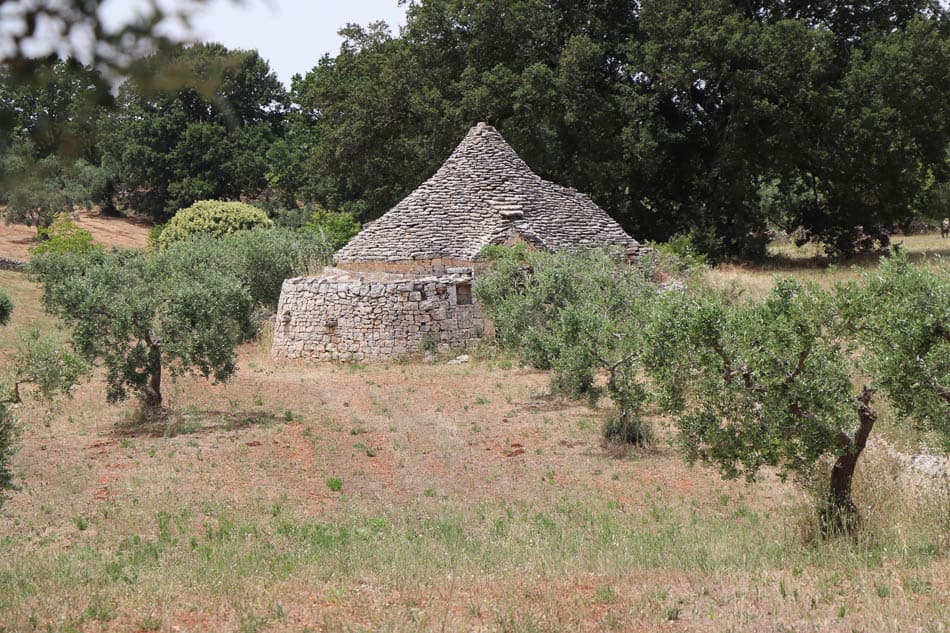 20240619 132650 PVE 4599 Selectie Peter Vermeyen W950