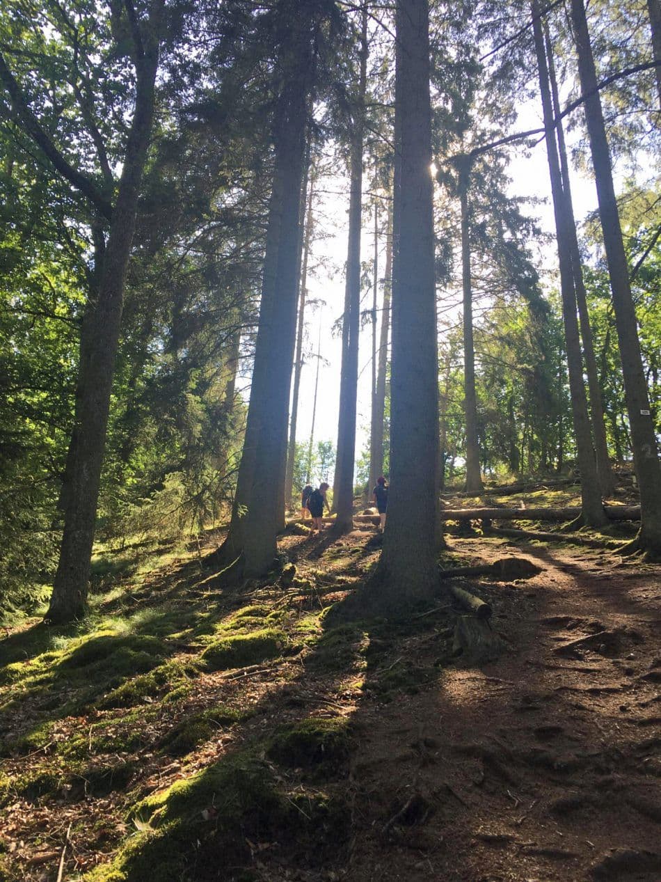 Whatsapp Image 2020 07 22 At 222536 1 Export