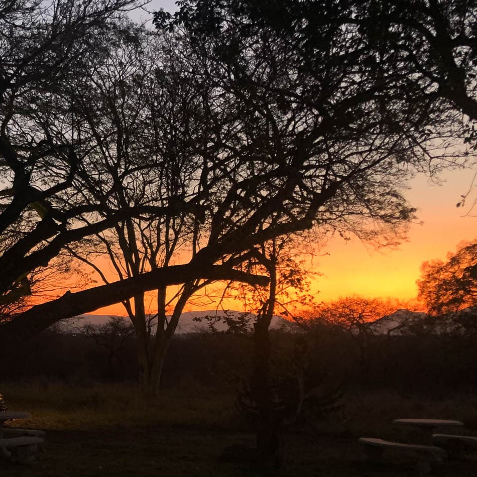 IMG 3539 ZA1 Anna Mertens Anna Mertens W950